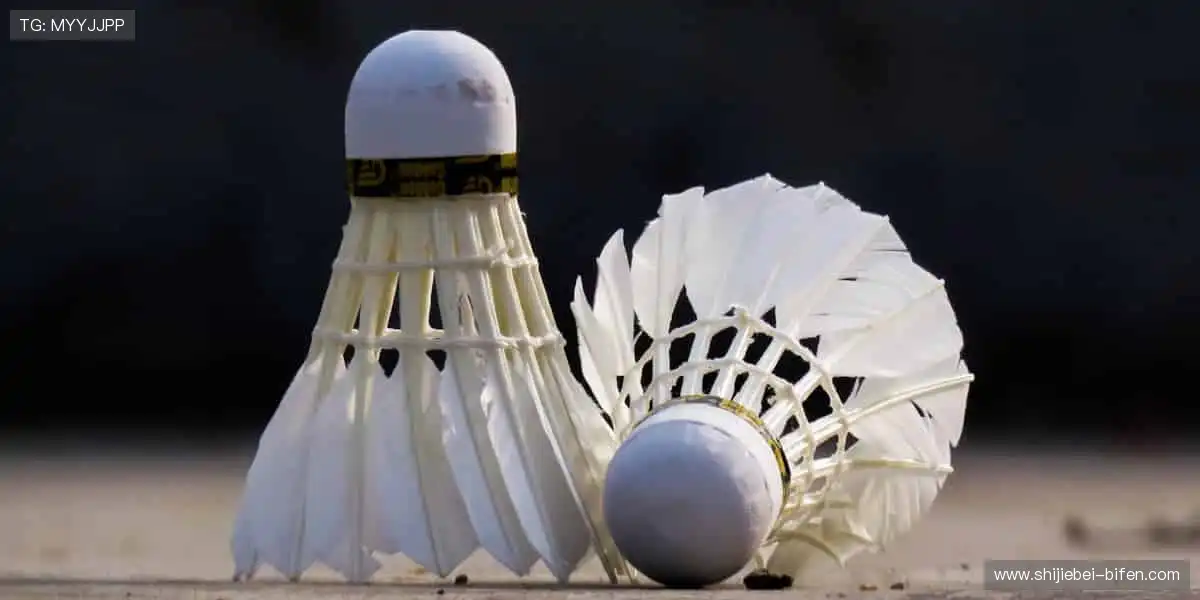 🏆 从看台到赛场,你的每一步都是传奇!🏃♂️